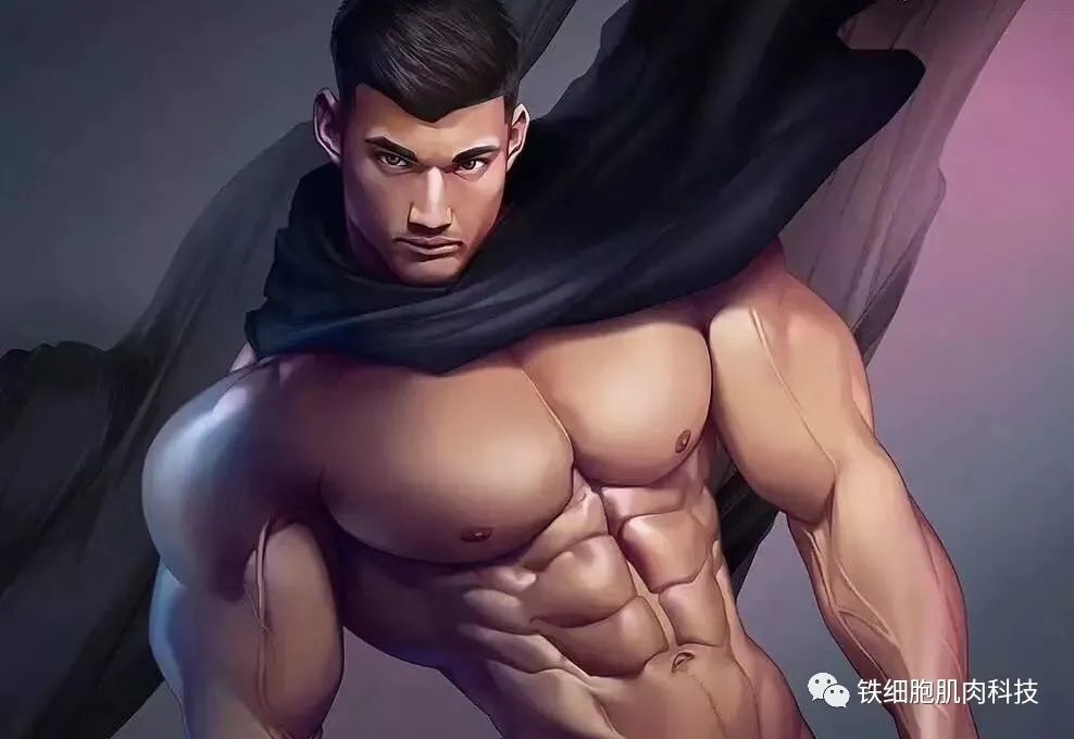 新手最安全的纯口服增肌Cycle：特力补＋氧雄龙＋美睾酮