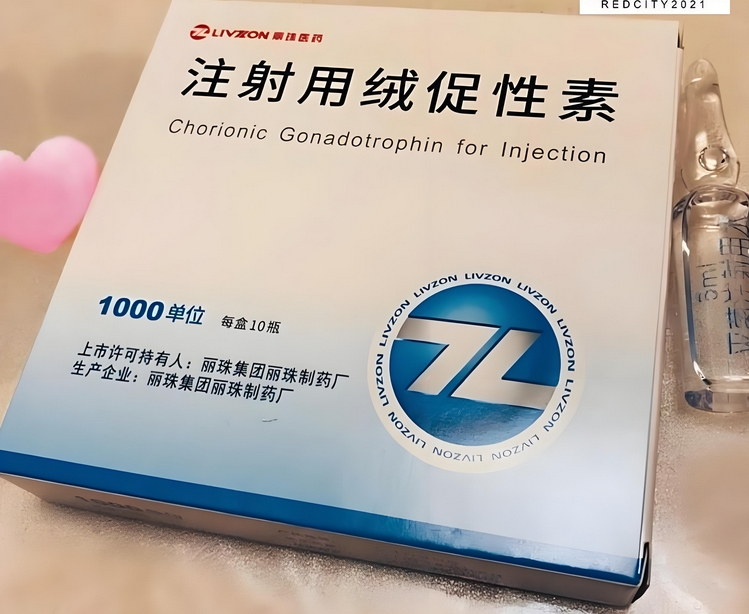 不看掉10斤肌肉类固醇增肌减脂cycle计划PCT恢复大全必看